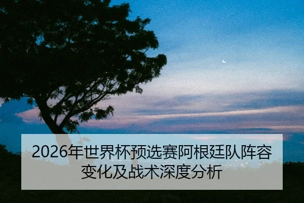 nian-shi-jie-bei-yu-xuan-sai-a-gen-ting-dui-zhen-rong-bian-hua-ji-zhan-shu-shen-du-fen-xi-2-478.jpg