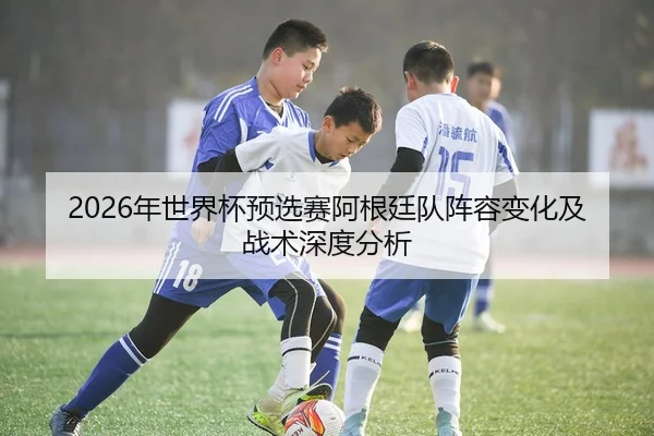 2026年世界杯预选赛阿根廷队阵容变化及战术深度分析