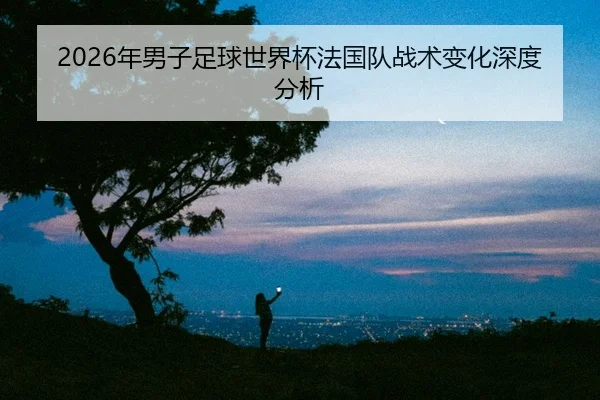 2026年男子足球世界杯法国队战术变化深度分析