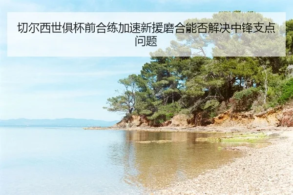 qie-er-xi-shi-ju-bei-qian-he-lian-jia-su-xin-yuan-mo-he-neng-fou-jie-jue-zhong-feng-zhi-dian-wen-ti-2-926.jpg