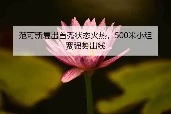 范可新复出首秀状态火热，500米小组赛强势出线