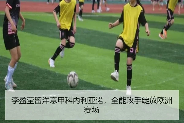 li-ying-ying-liu-yang-yi-jia-ke-nei-li-ya-nuo-quan-neng-gong-shou-zhan-fang-ou-zhou-sai-chang-2-692.jpg